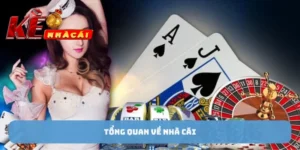 Giới thiệu khái quát về nhà cái C54